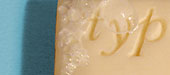 Typographica nameplate (cropped) by Leila Singleton